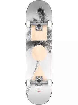 SKATE COMPLET GLOBE 8.0 G1 STACKSKATE LONE PALM