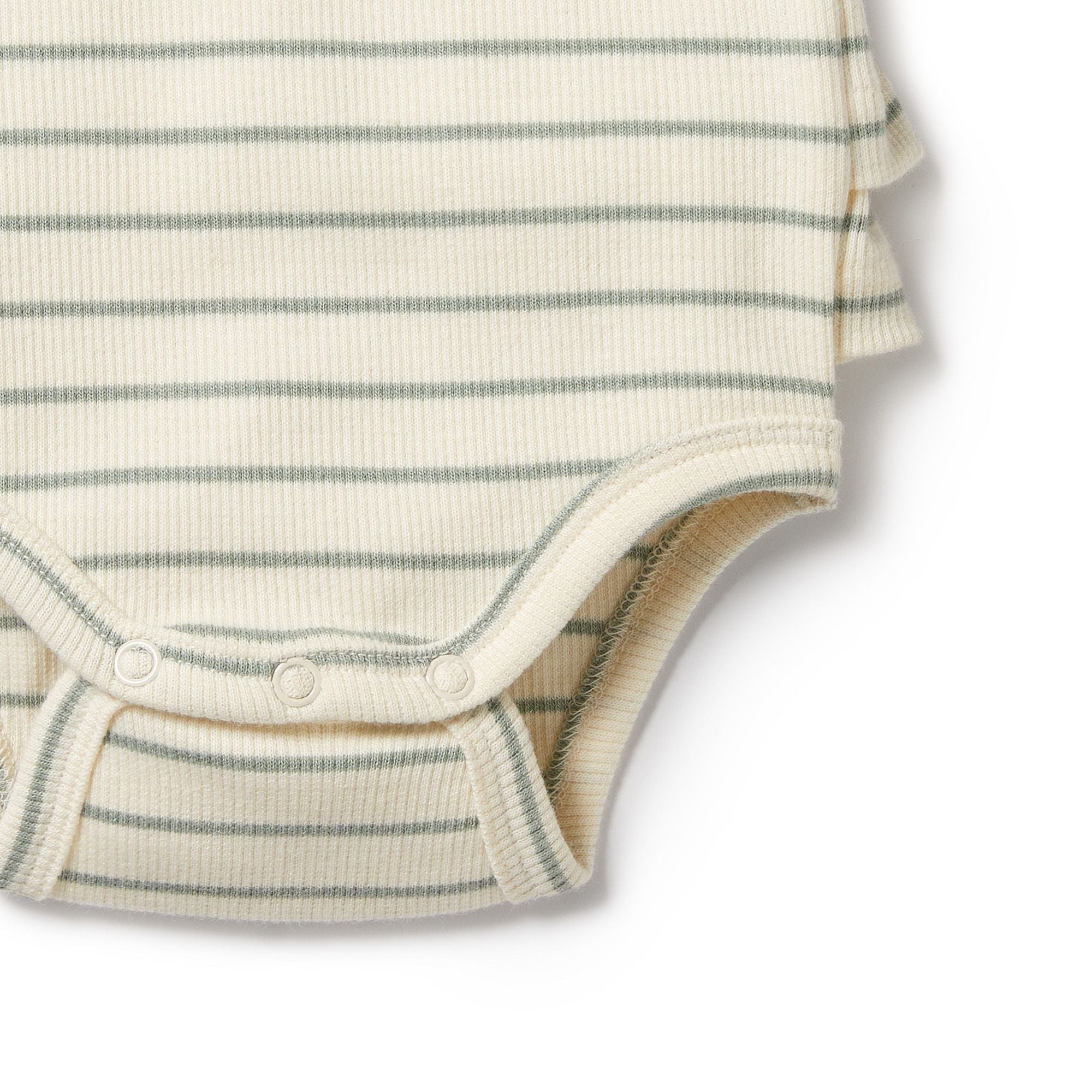 Wilson & Frenchy Petite Sage Organic Ruffle Bodysuit